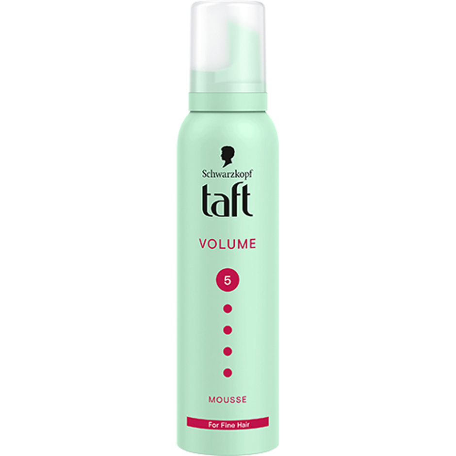 Taft Mousse Volume Hold Level 5