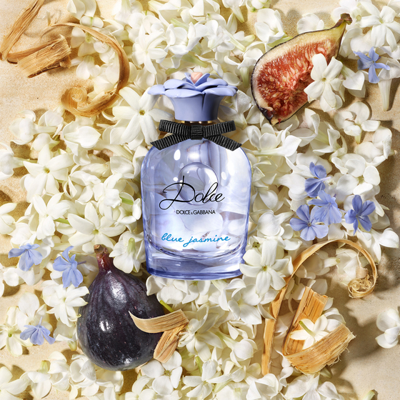 Dolce Blue Jasmine