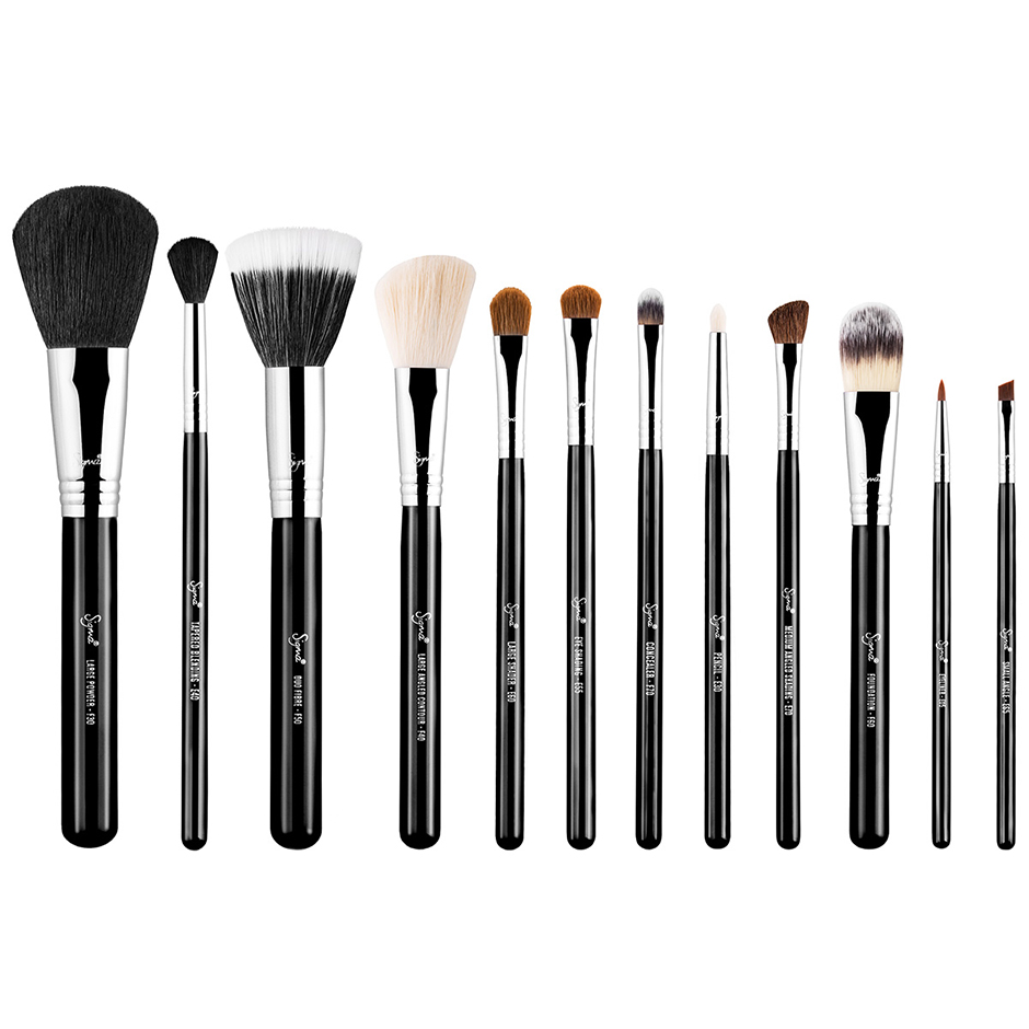 Essential Kit Professional Brush Collection