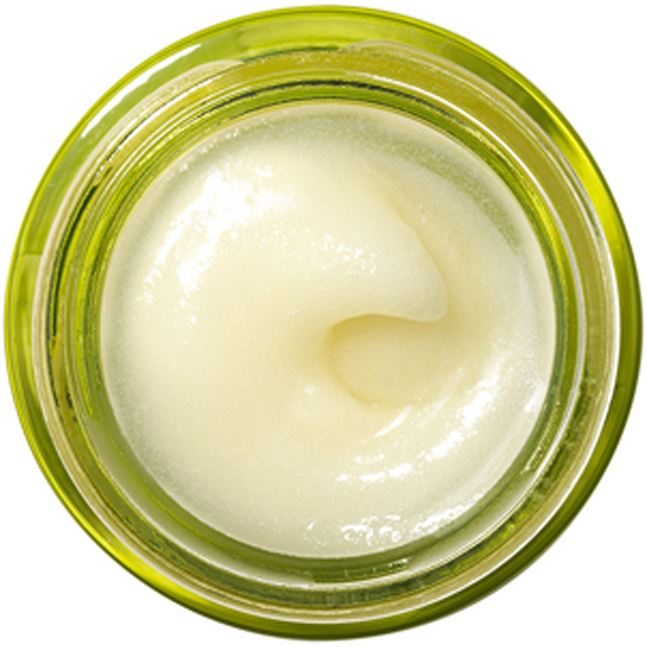 Drink Up Nourishing Avocado Lip Butter