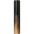 Studio Radiance 24Hr Luminous Lift Concealer