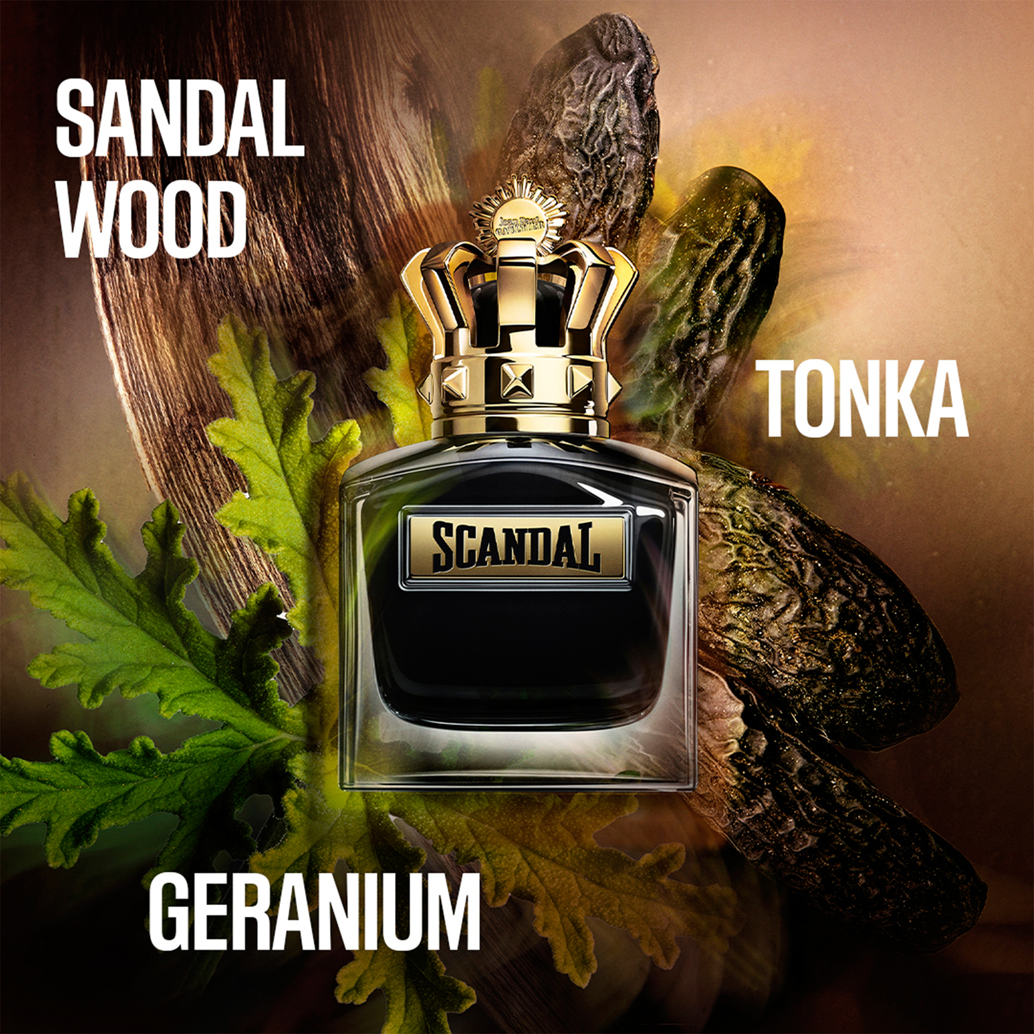 Scandal Le Parfum Him