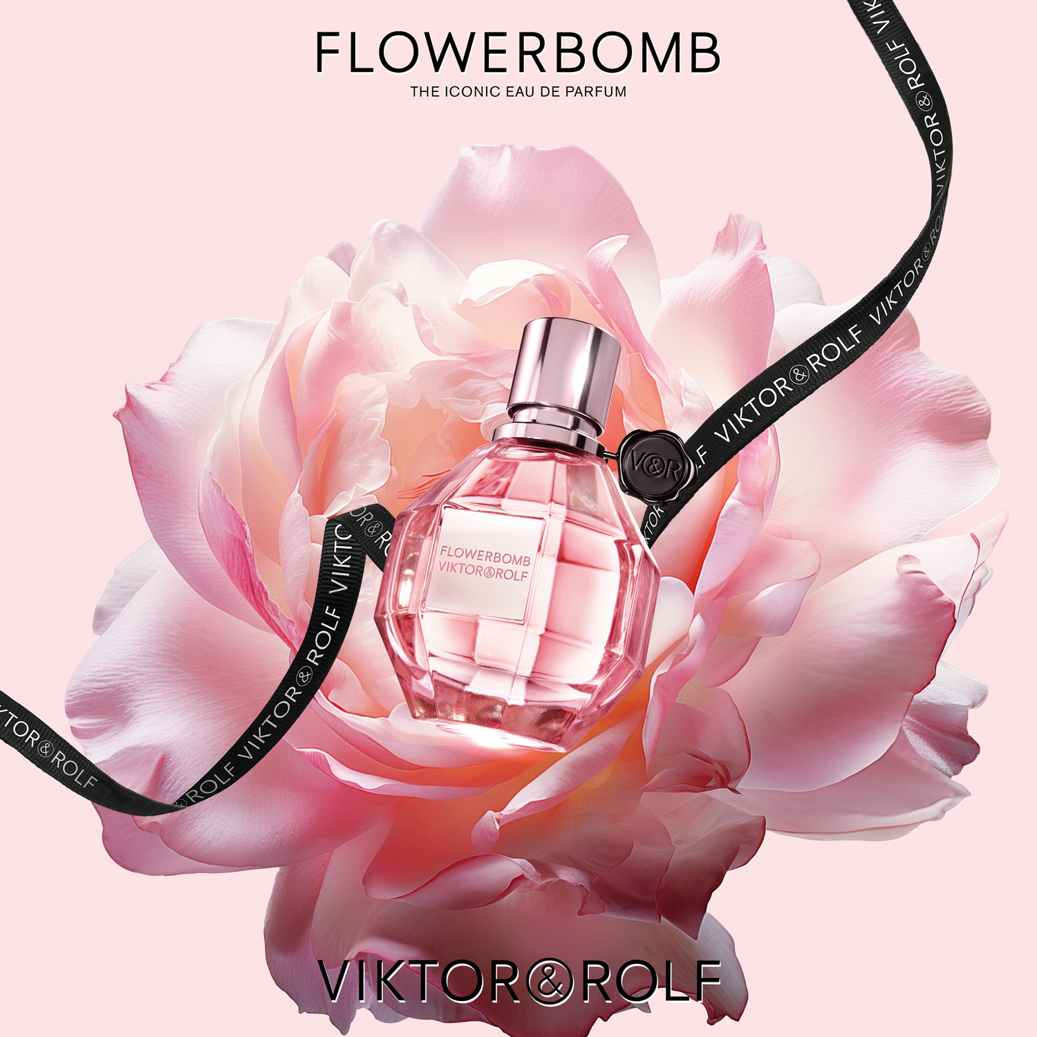 Viktor popular and Rolf Flowerbomb