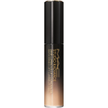 Studio Radiance 24Hr Luminous Lift Concealer