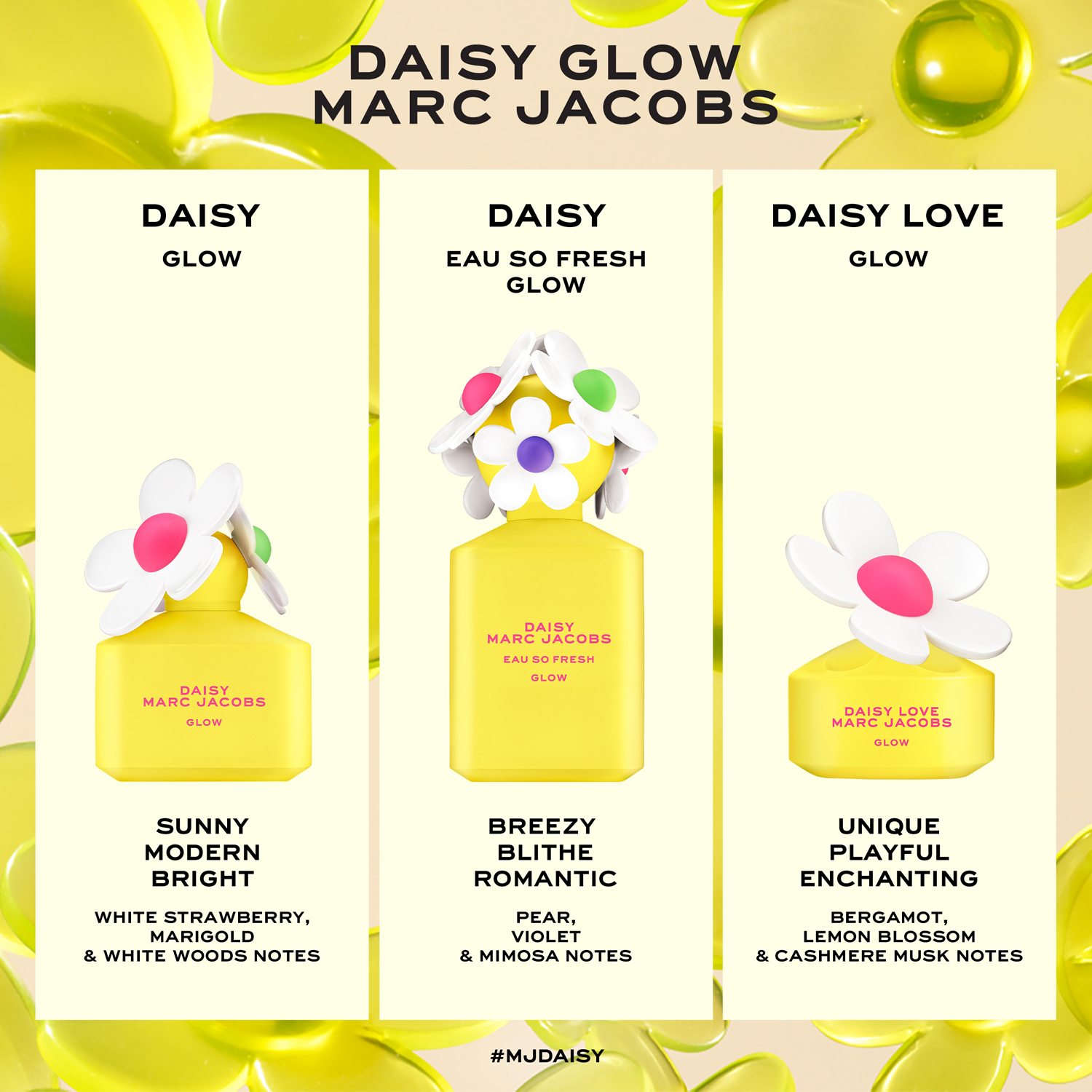 Daisy Glow