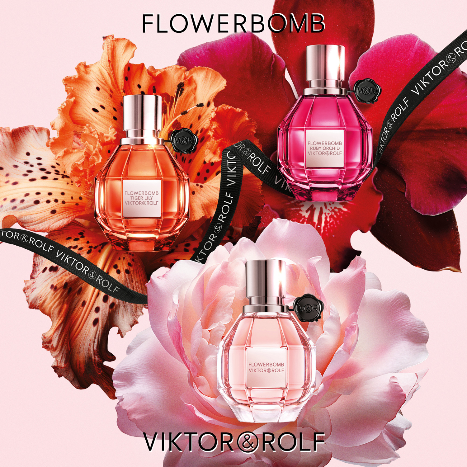 Flowerbomb Ruby Orchid