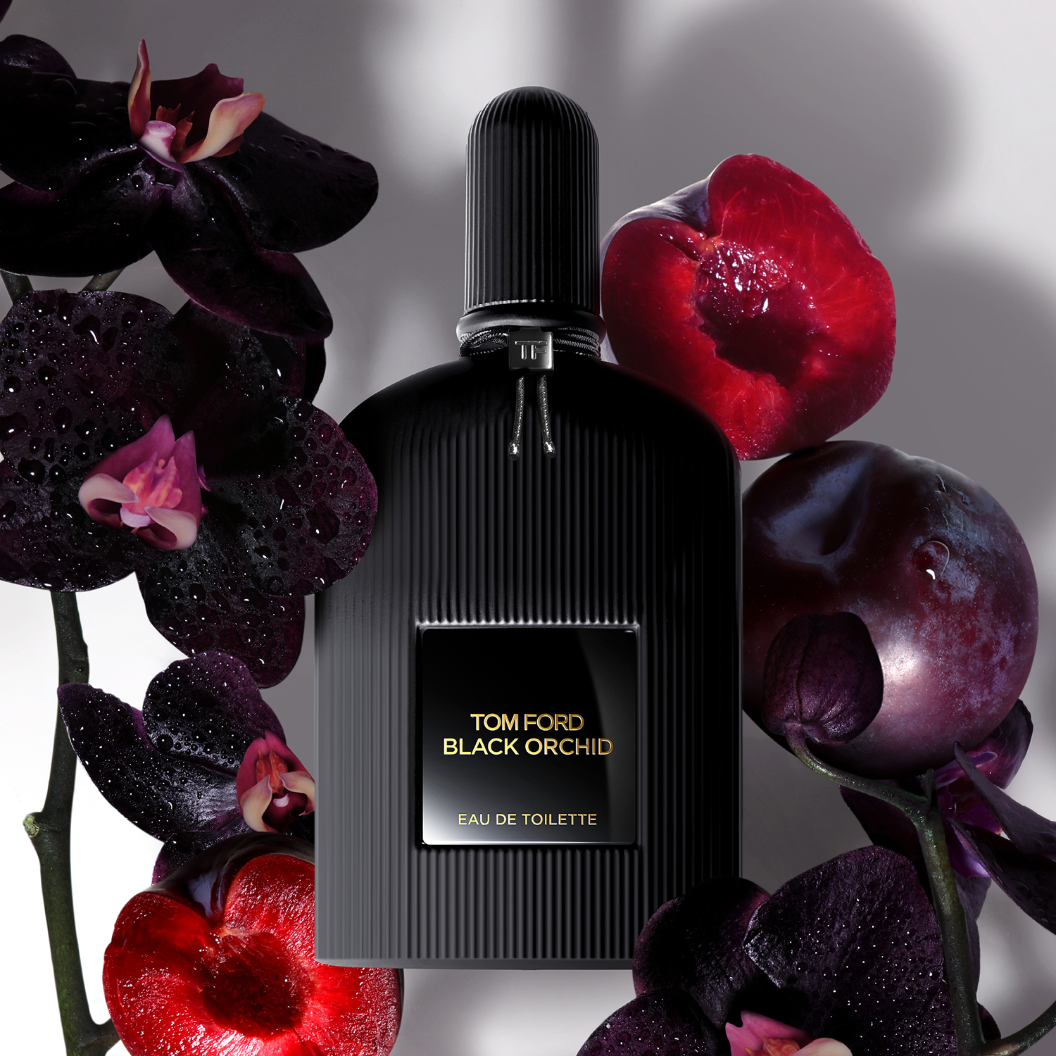 Black Orchid