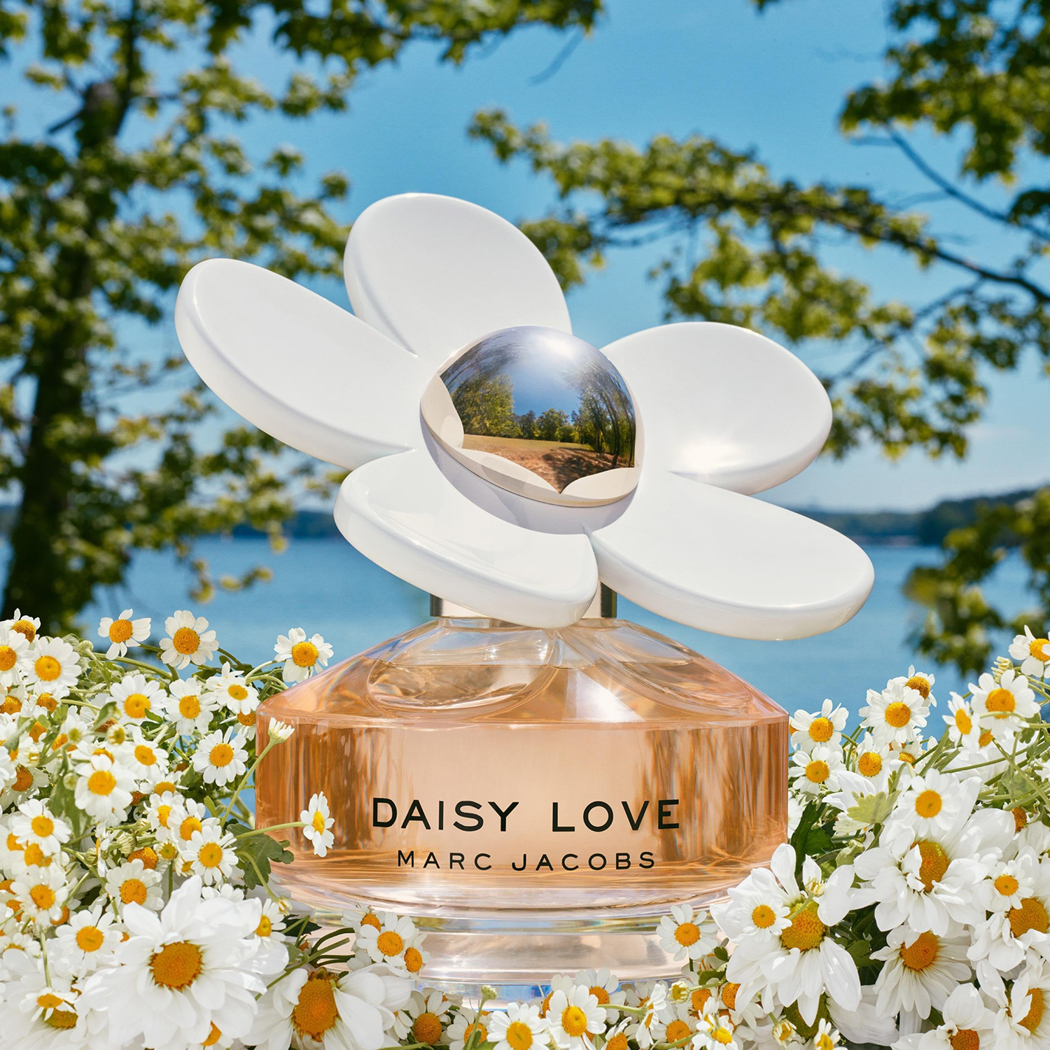 Daisy Love