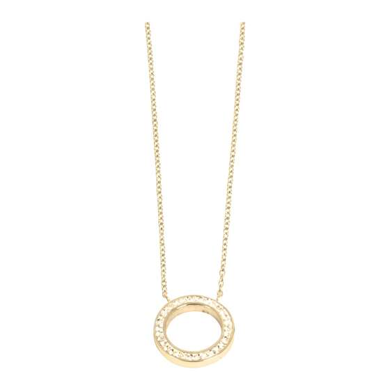 Steel Necklace Gold Cirkle