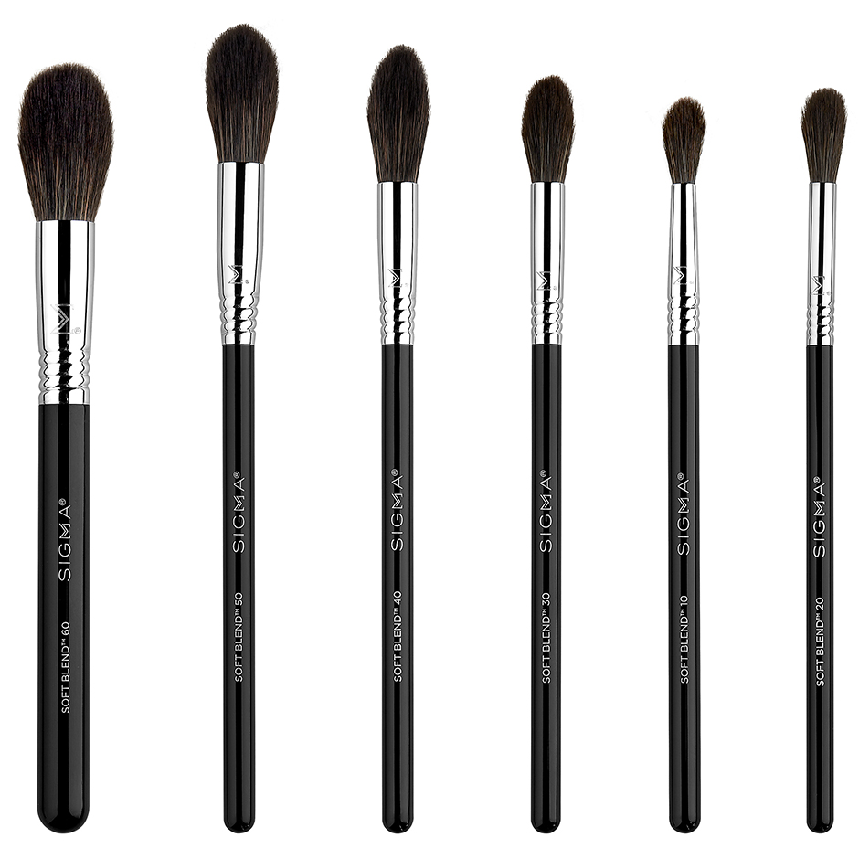 Soft Blend Brush Set