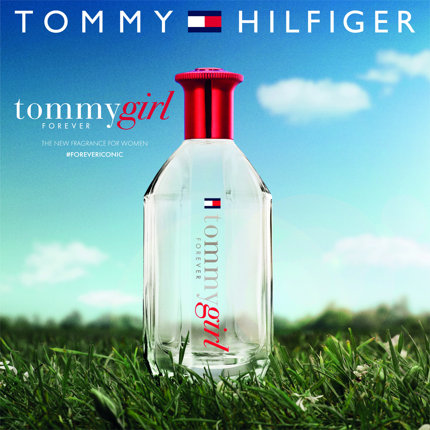 Tommy Girl Forever