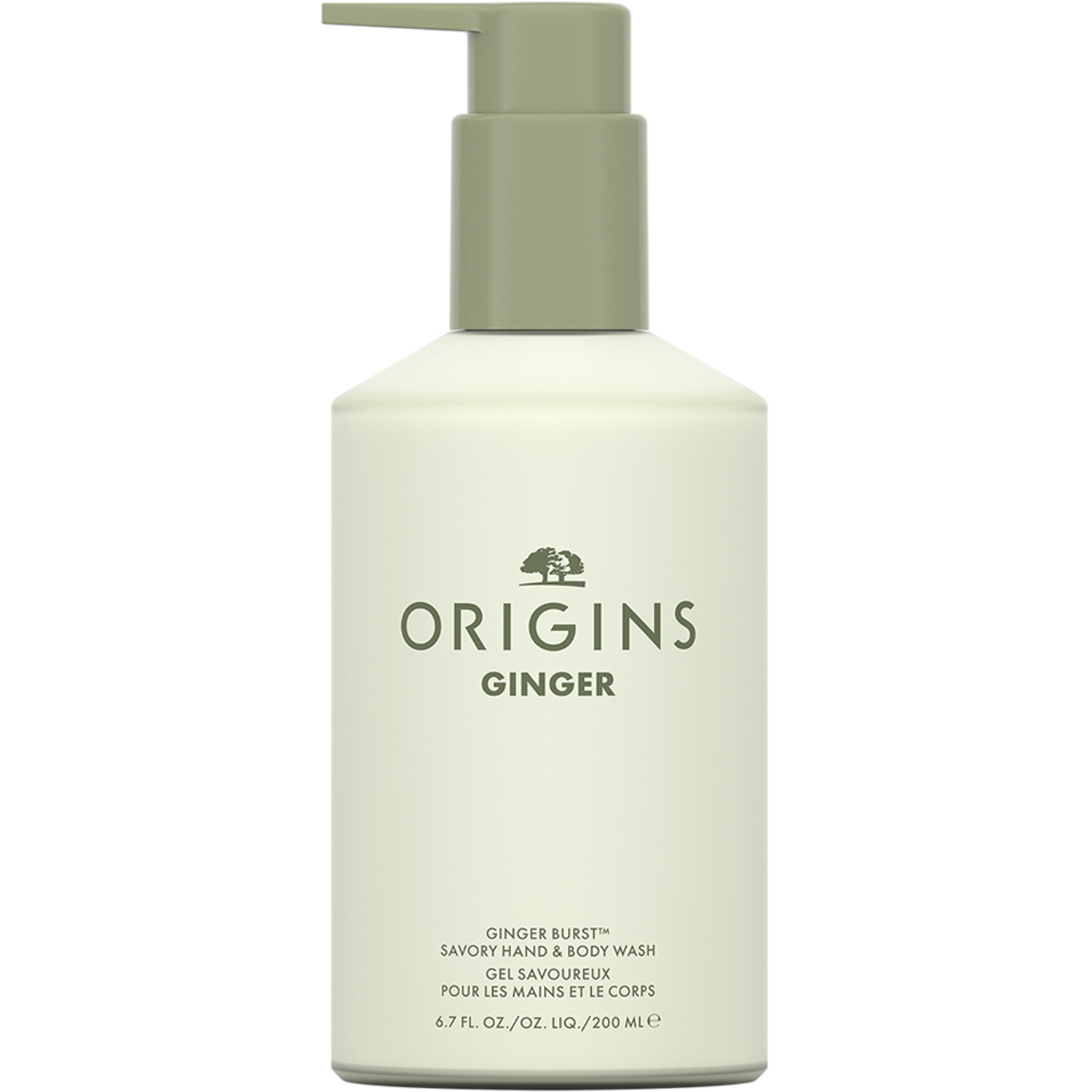 Ginger Burst Savory Hand & Body Wash