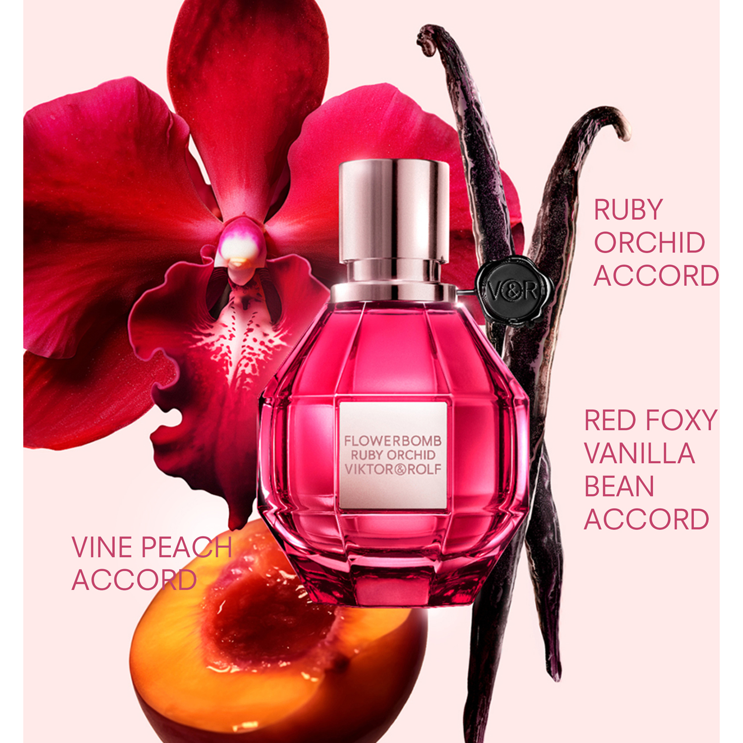 Flowerbomb Ruby Orchid