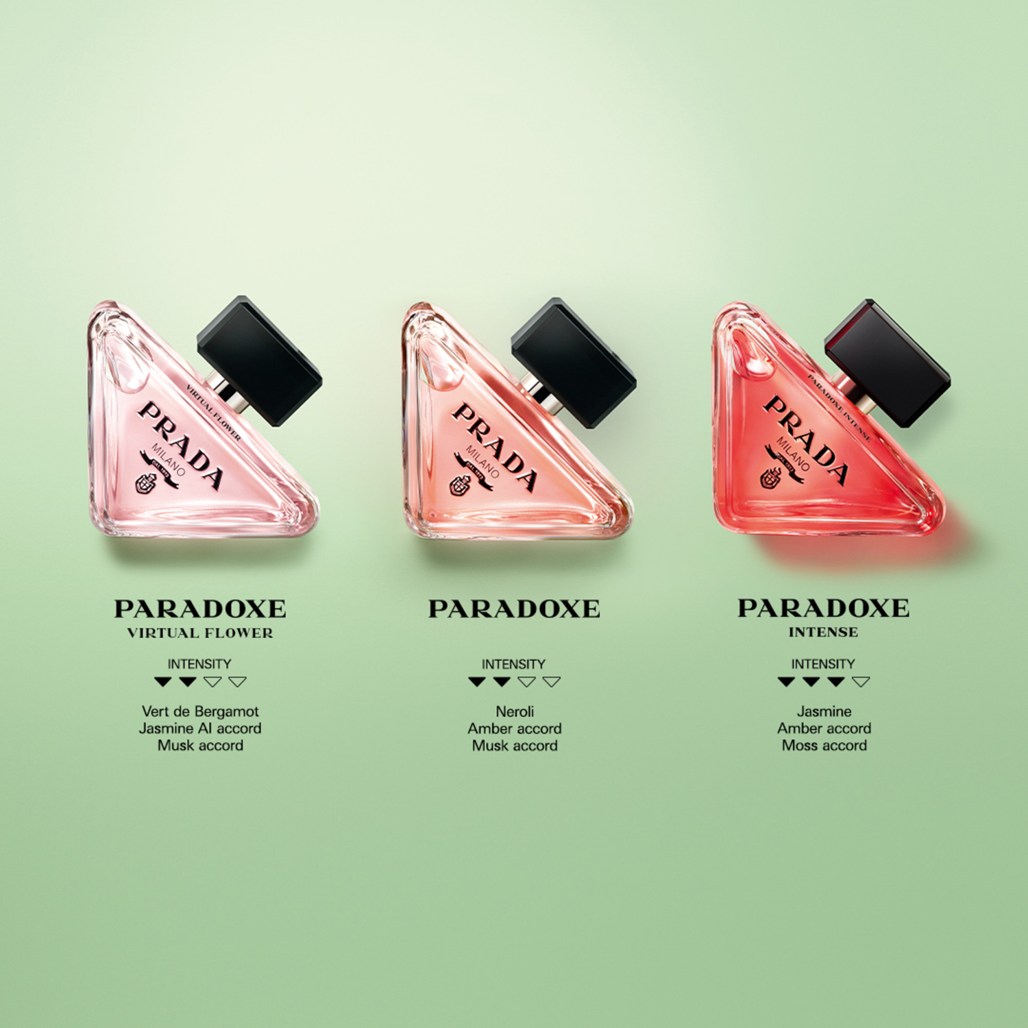 Paradoxe Intense